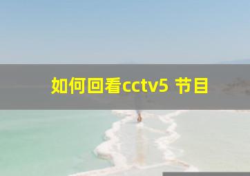 如何回看cctv5 节目